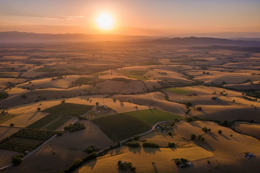 Aerial view of vast Anatolian agricultural landscapes at golden hour — Türkiye the world's greatest food producer — Benjamin's Gardens